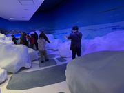 -15℃体感と流氷