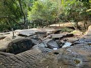 パンテアイスレイ