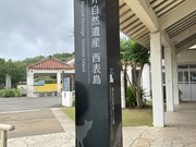 西表島