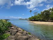 ハレイワ・アリ・ビーチ