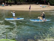 ハレイワ・アリ・ビーチ