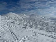 沢山のモンスターと八甲田
