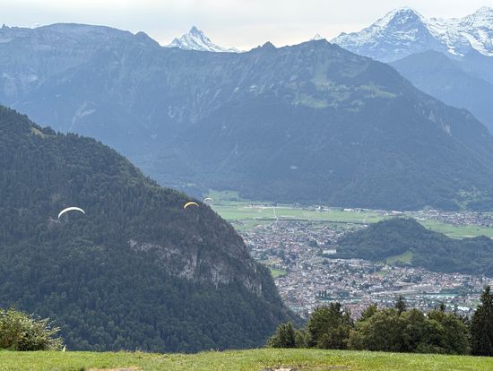 私より前に飛び立った人たち