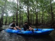 マングローブカヌー