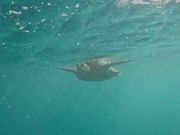 撮影してくださった動画のスクショです