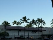 シャトルバスからの景色