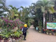 由布島　レストラン前