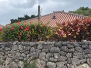 竹富島　赤瓦屋根のシーサー