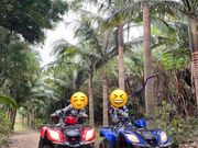 西表島バギー体験