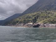 左側がタスマン海