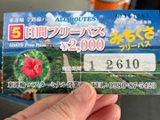 5日券フリーパスのチケット