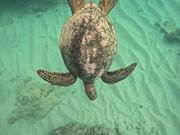 こんな間近でみれました！