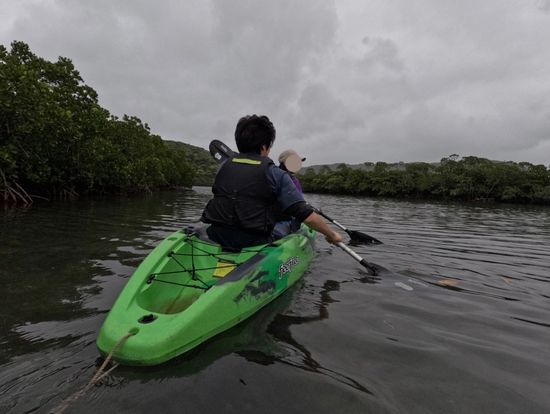 浦内川でのマングローブカヌー