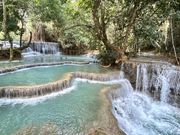 見ているだけで癒される