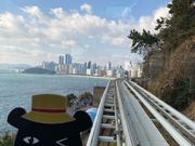 スカイカプセルからの眺め