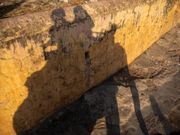 アンペール城、ゾウ