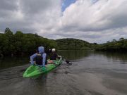 マングローブカヌー