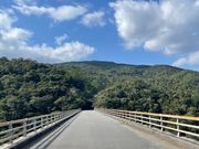 橋上からの緑の大パノラマ