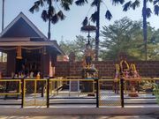 象に乗るゾウ〜