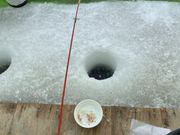 阿寒湖にてワカサギ釣り