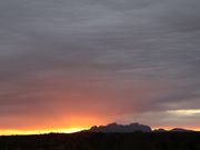 カタジュタはズームしてこのくらいの距離です