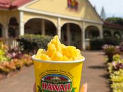 パイナップルアイス