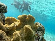 海が美しかった