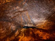 洞窟の中に垂れる植物の根