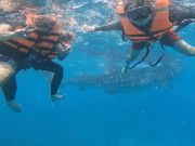 ボートの漕ぎ手の皆さんにカメラを渡すと、一緒に潜って撮ってくれます