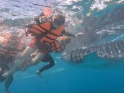 手を伸ばせば届きそうな距離まで