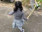 サトウキビ運び