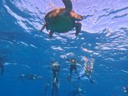 たくさん会えました