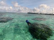 サンゴ礁がとてもきれいです