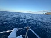 イルカを探しに向かっているところ