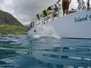 船から初めて飛び込み