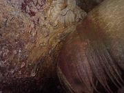 圧巻のパンプキン鍾乳洞