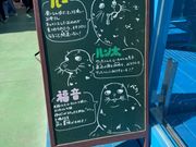 伊勢シーパラダイス