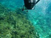 海ガメに近づきたく…沈めなかった