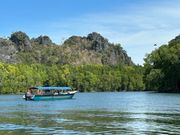 マングローブツアー