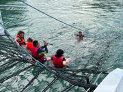 ネット上で海水浴可能