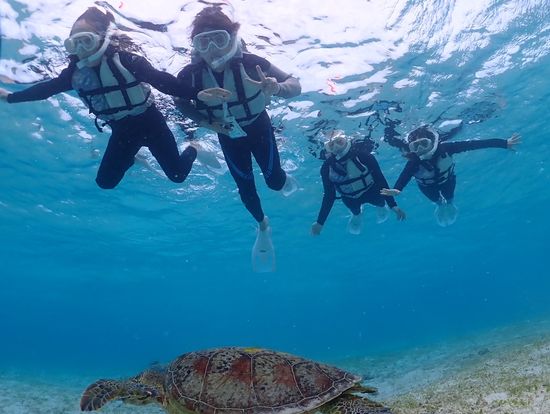海亀に会えた☺︎