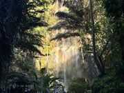 虹がかかるツマログ滝