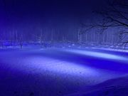 ライトアップされた青い池