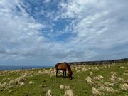 写真を撮る暇もなかった