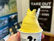 運転手さんオススメ