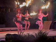 迫力あるショー！