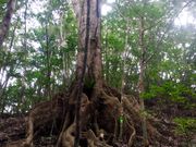 パワースポットに案内していただきました。