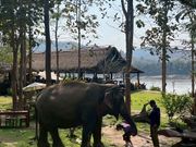 エレファントキャンプ