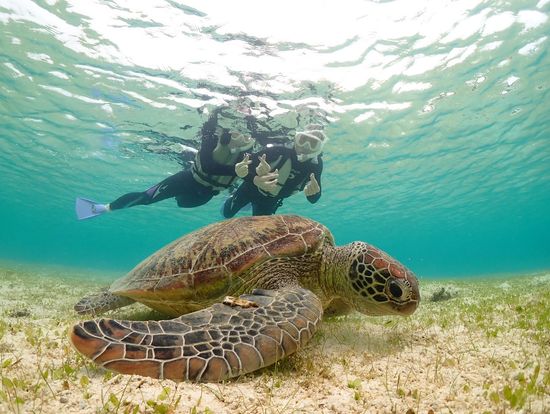 かわいかった！