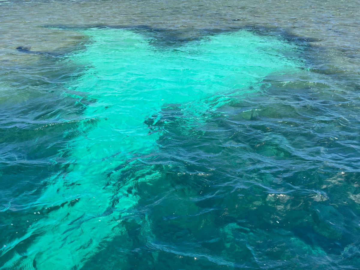 Traveler photo at Kaneohe Bay sandbar